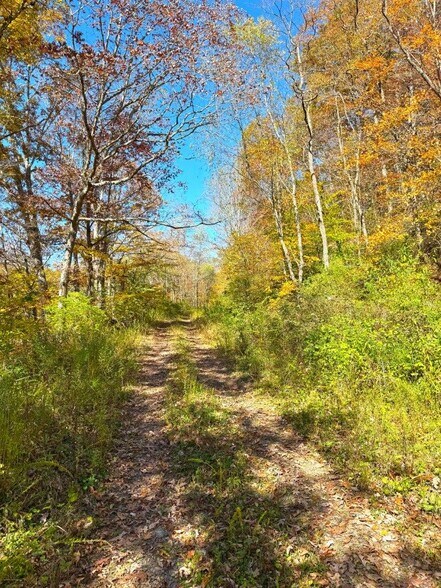More Photos Of 0 Sewell Creek Rd, Meadow Bridge Land For Sale