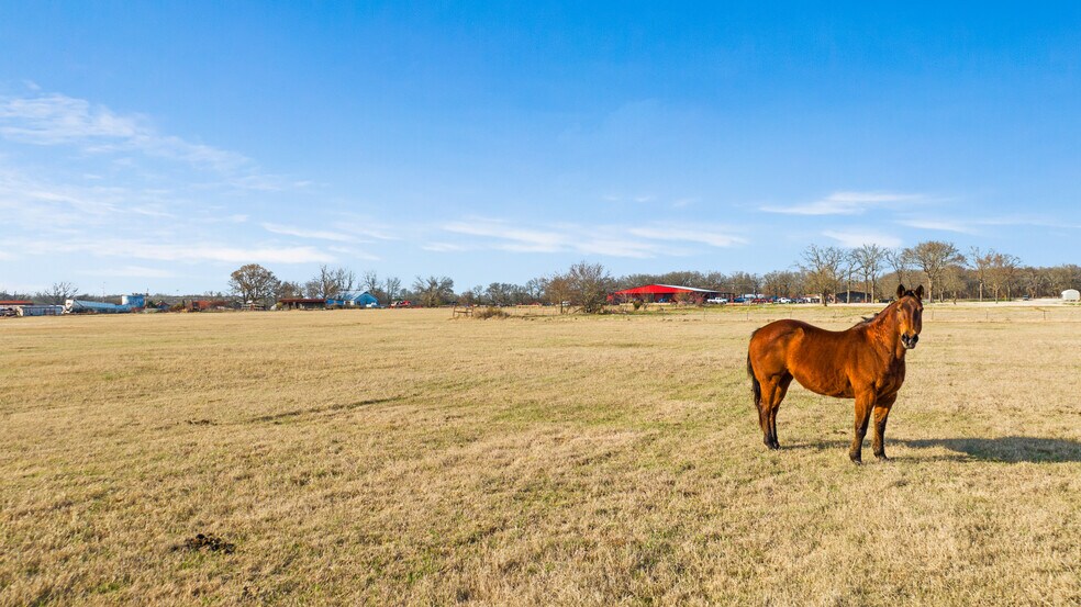 More Photos Of 3052 HWY 82 E, Paris Land For Sale