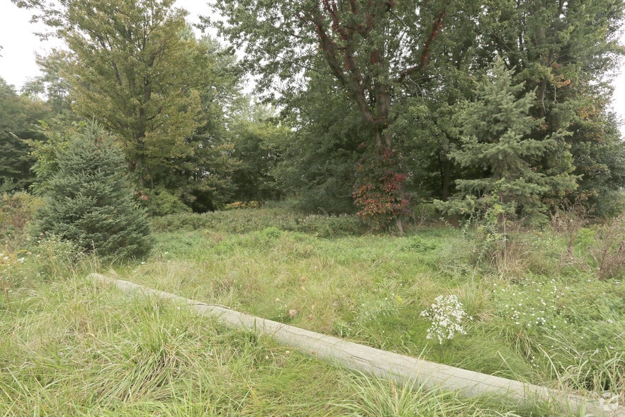 Primary Photo Of 2200-3298 Judah Rd, Orion Township Land For Sale