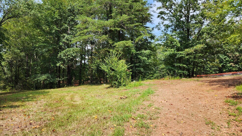 More Photos Of 1661 Friendship Rd, Hoschton Land For Sale