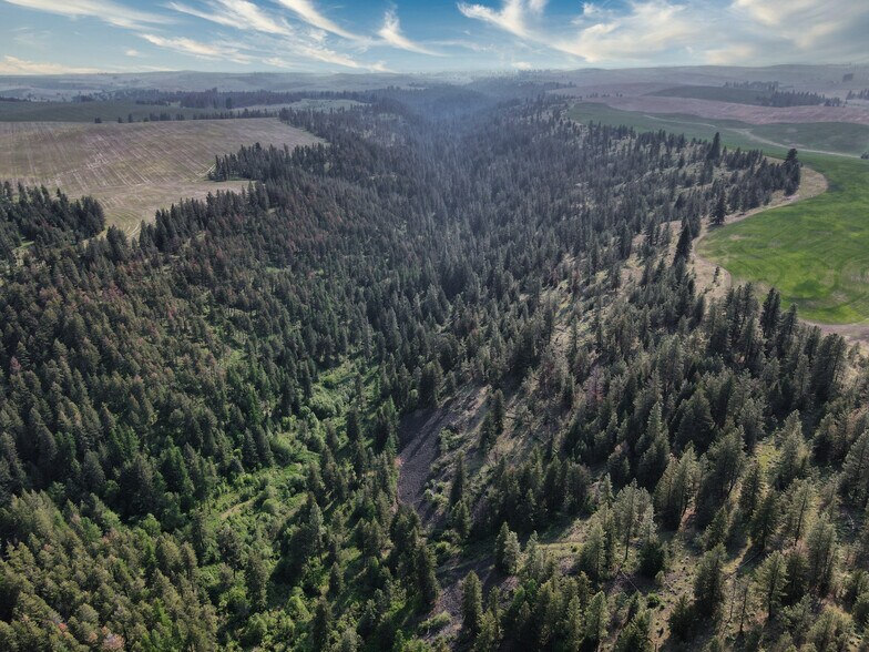 More Photos Of 45XXX Devore Rd, Davenport Land For Sale