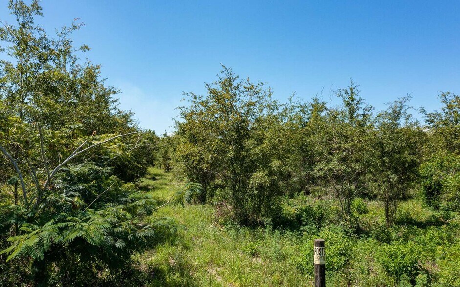 More Photos Of Crossen Avenue & Ichetucknee Rd, Live Oak Land For Sale