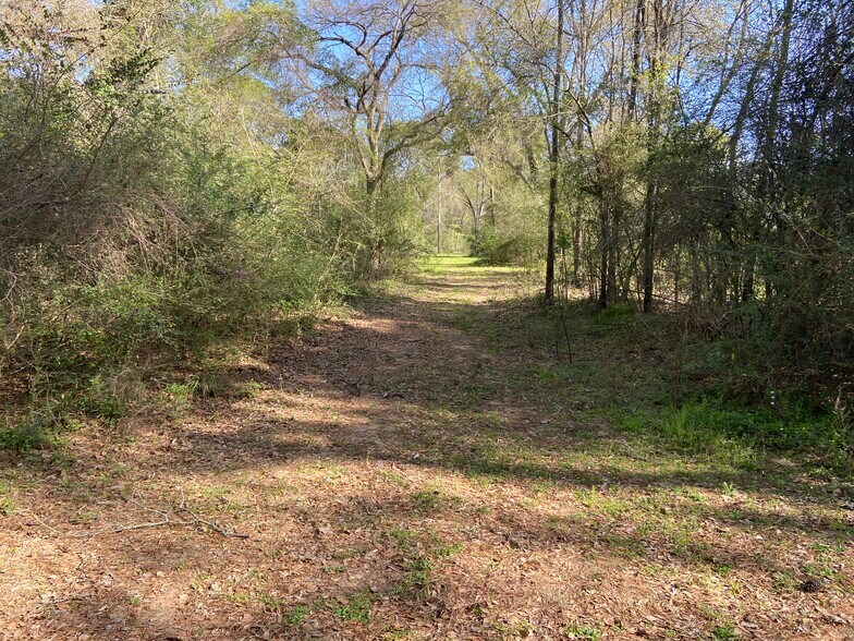 More Photos Of 24030 Hegar Rd, Hockley Land For Sale