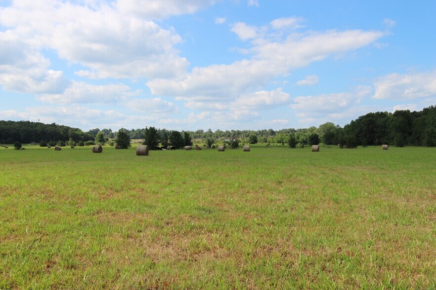 More Photos Of 278 Highway 64 E, Conway Land For Sale