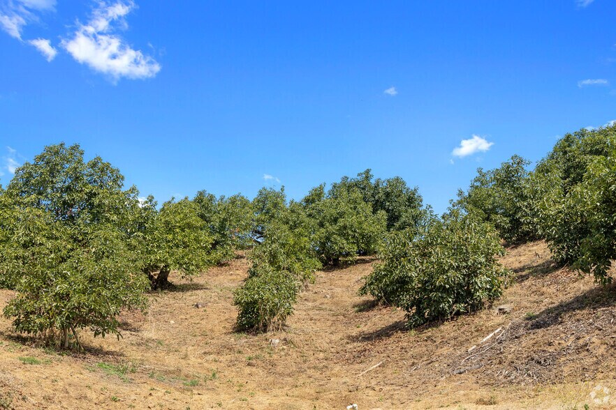 More Photos Of 36727 Muutama Ln, Valley Center Land For Sale