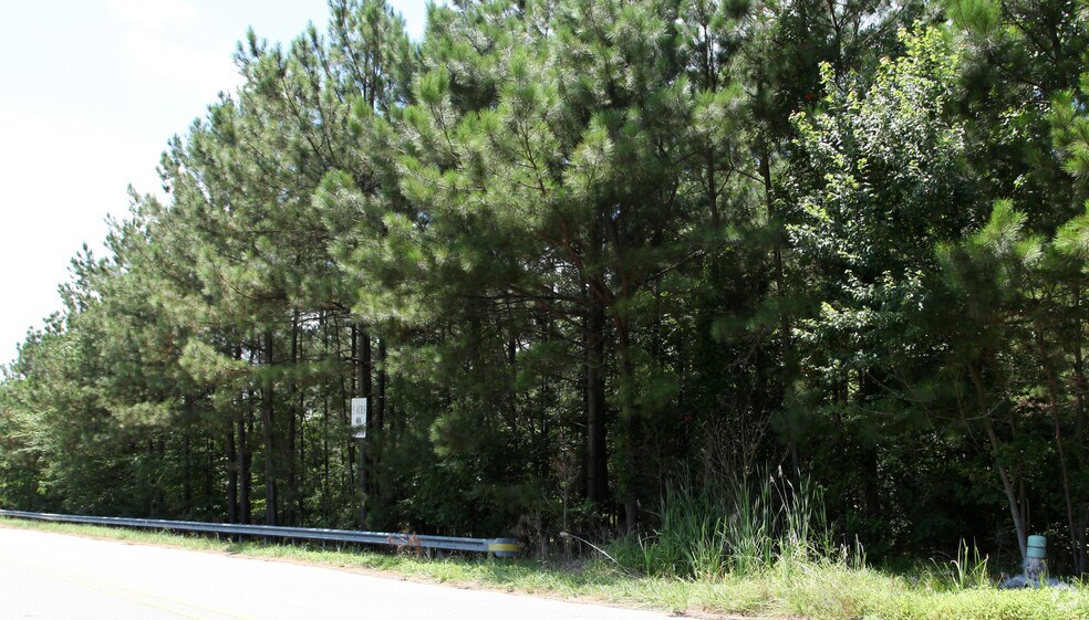 More Photos Of Globe Rd @ I-540, Morrisville Land For Sale