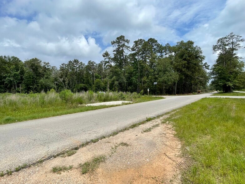 More Photos Of 19094 Galaxy Blvd, New Caney Land For Sale