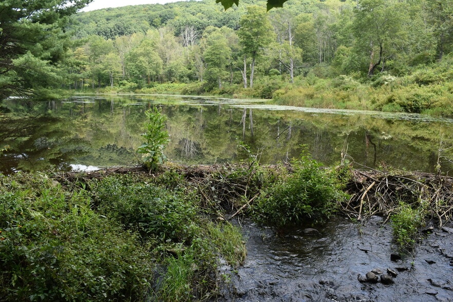 More Photos Of 2276 Old Route 17, Windsor Township Specialty For Sale