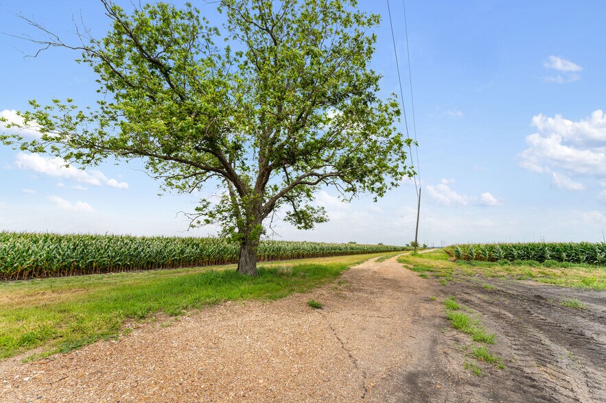 More Photos Of 13416 FM 361 Rd, Needville Land For Sale