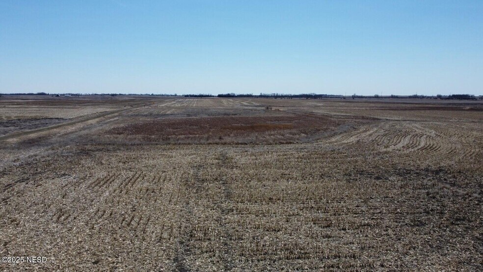 More Photos Of 0 441st Ave, Webster Land For Sale