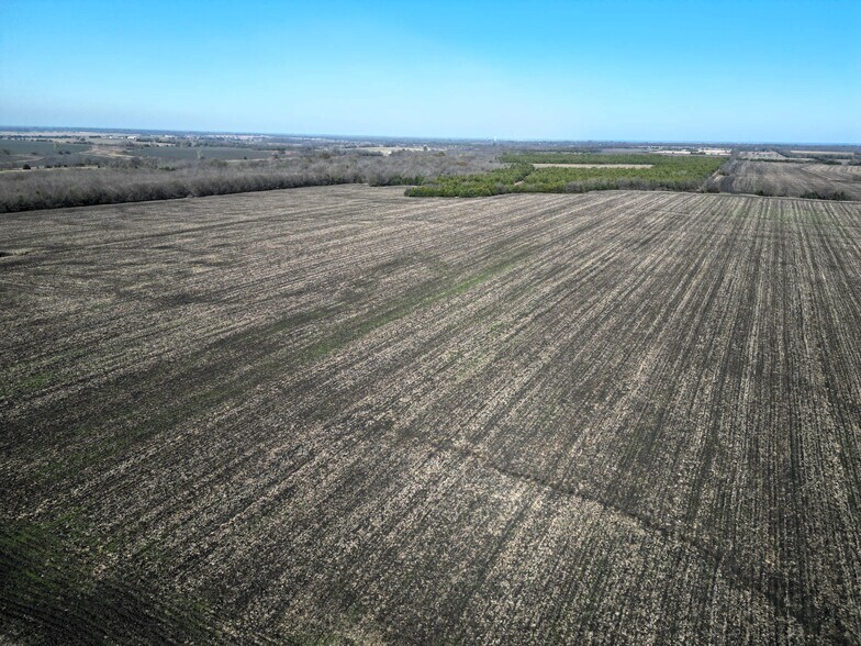 More Photos Of 99 ac County Road 4914, Ladonia Land For Sale
