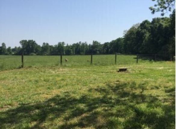 Primary Photo Of 0 Highway 29, Canon Land For Sale