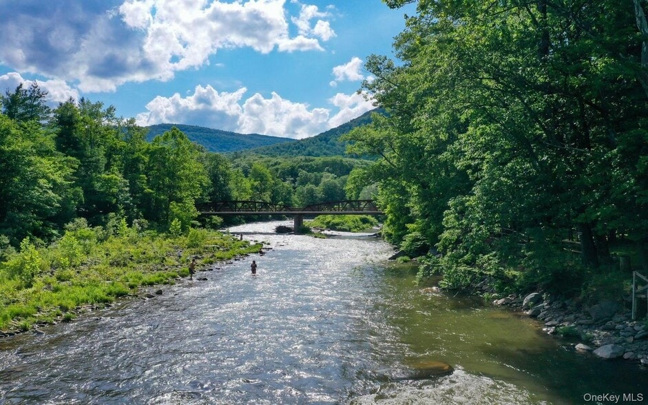 More Photos Of 5973 New York 28, Phoenicia Hotel For Sale