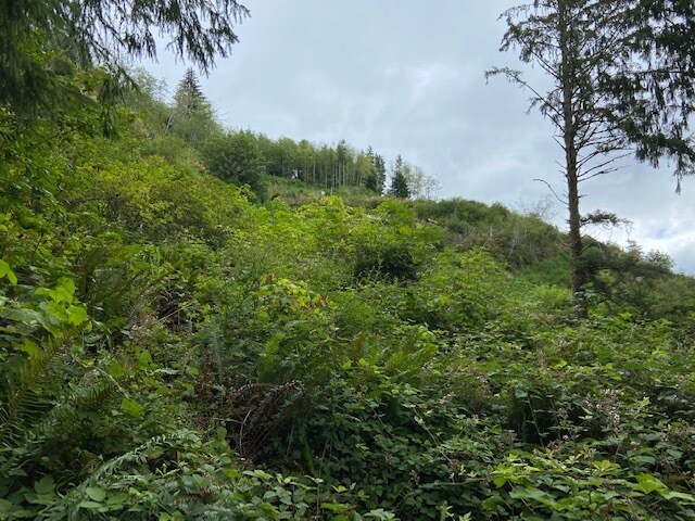 Primary Photo Of TL 203 Beaver Creek, Seal Rock Land For Sale