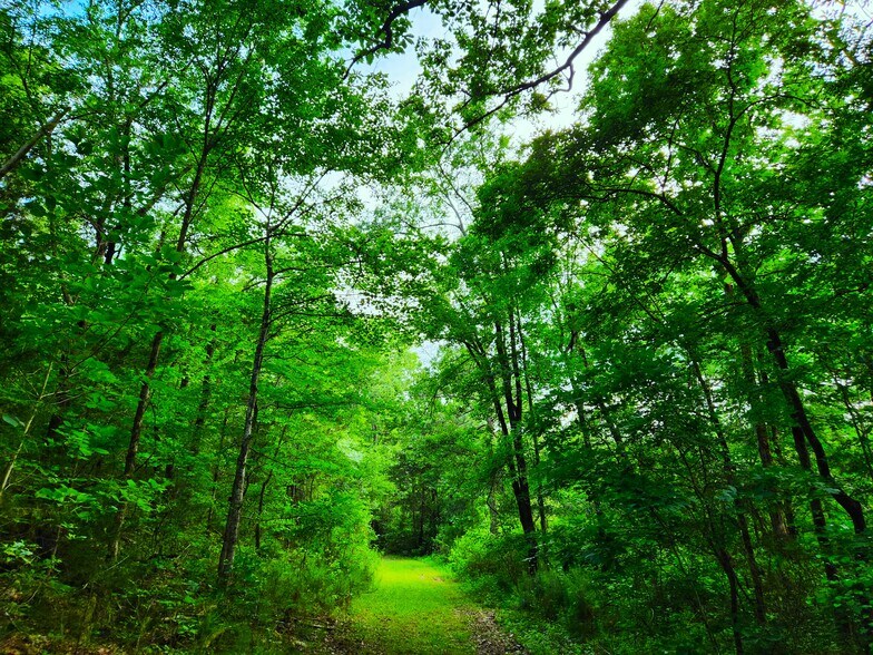 More Photos Of 2725 White Rd NE, Conyers Land For Sale