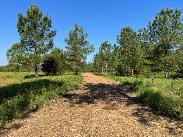 More Photos Of 2200 Oweda Dr, Conover Land For Sale