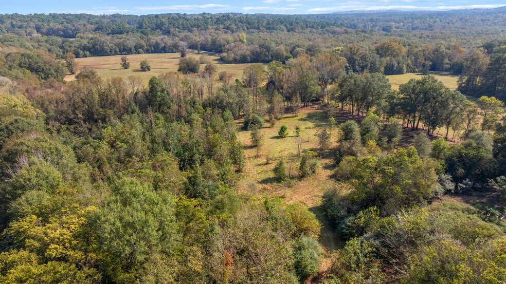 More Photos Of TBD Farm to Market Road 16, Winona Land For Sale