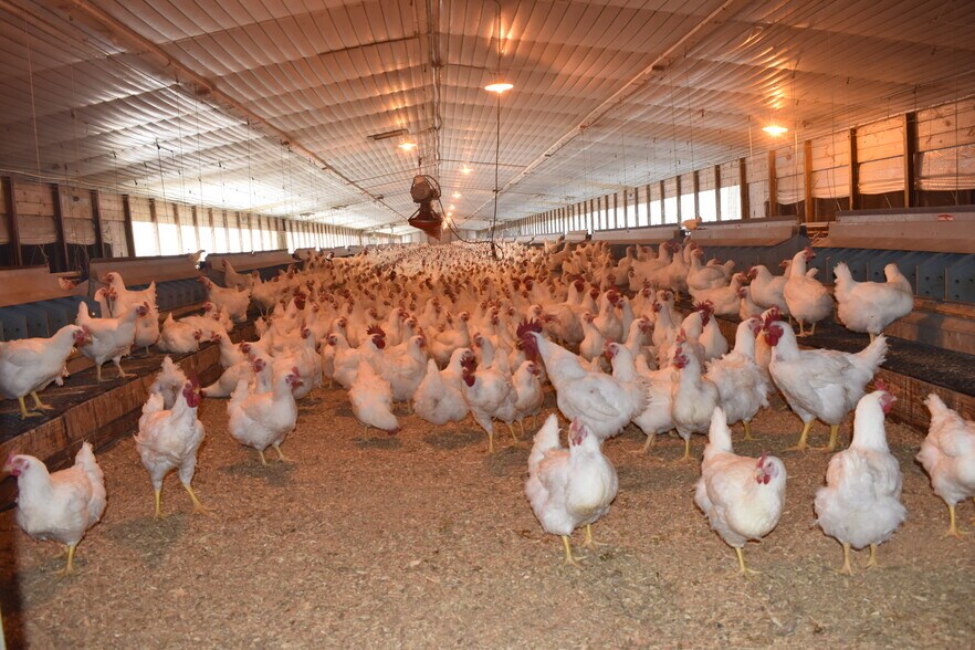 More Photos Of 441 Weaver Rd, Moultrie Land For Sale