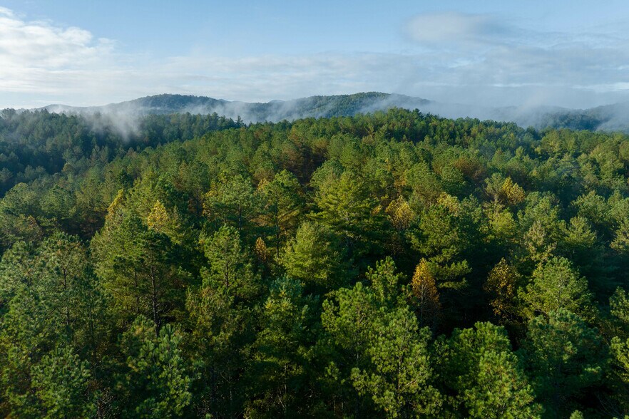 More Photos Of 2108 River Hill Road, Murphy Land For Sale