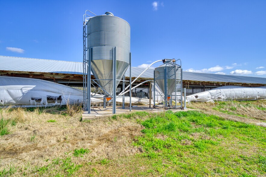 More Photos Of 8370 County Road 150, Somerville Land For Sale