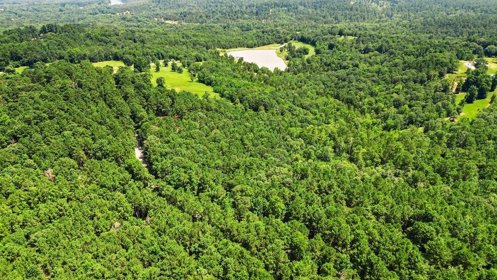 More Photos Of 268 Cedar Valley Rd, Coldspring Land For Sale
