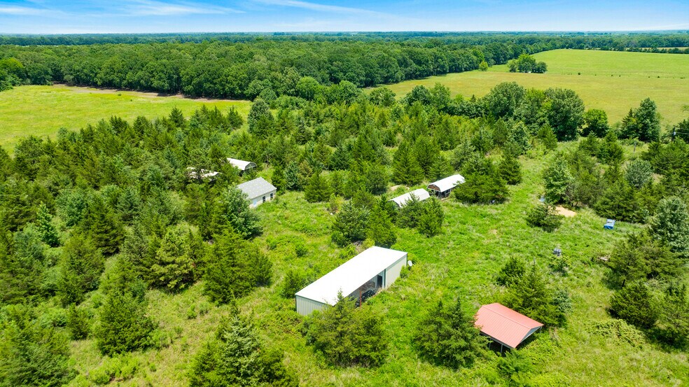 More Photos Of 449 County Road 1357, Clarksville Land For Sale