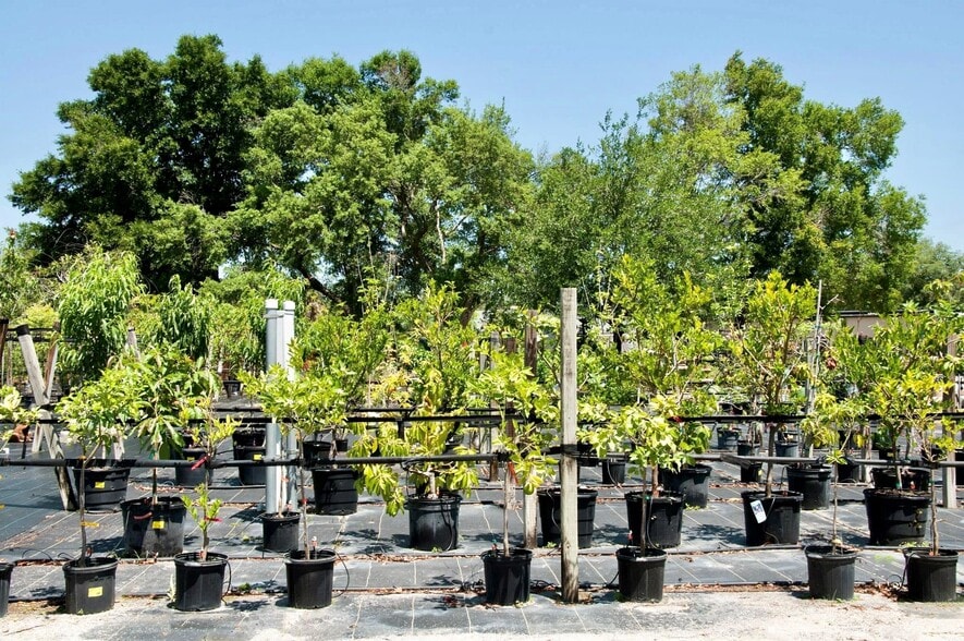 More Photos Of 145 W State Road 46, Geneva Land For Sale