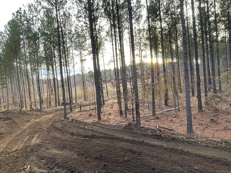 More Photos Of 92 Lillian Strong rd, Carlton Land For Sale