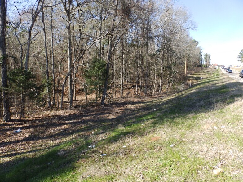 More Photos Of 20175 HWY 155 S, Flint Land For Sale