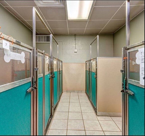 More Photos Of 116 Massey St, Fort Mill Flex For Sale