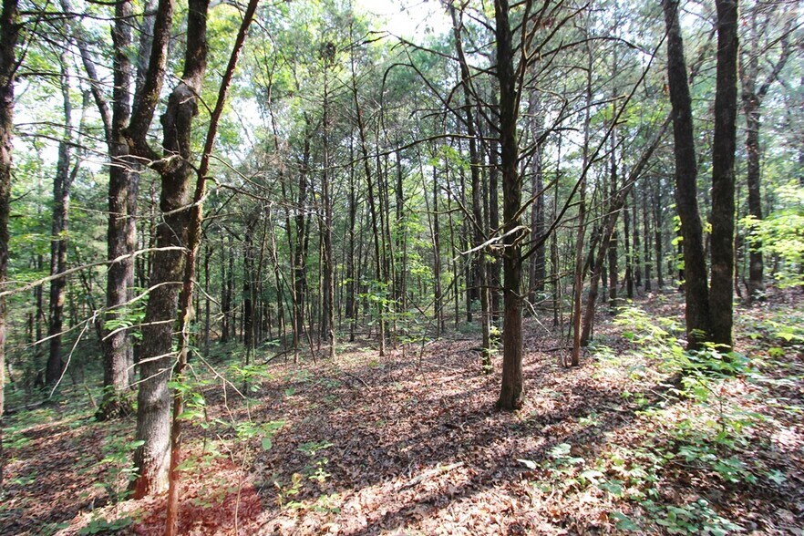 More Photos Of 226 Blythe rd, Greenbrier Land For Sale