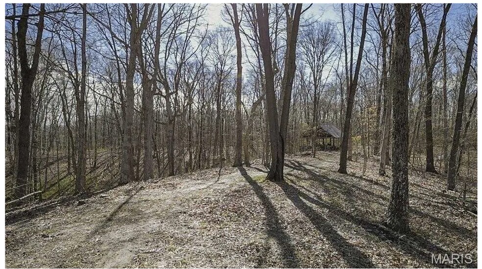 More Photos Of 6959 W Fellin Drive, Mount, Mount Olive Land For Sale