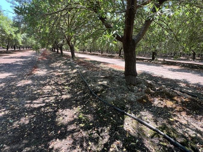More Photos Of Avenue 192, Strathmore Land For Sale