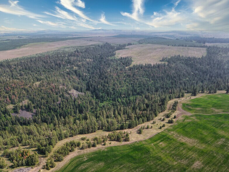 More Photos Of 45XXX Devore Rd, Davenport Land For Sale