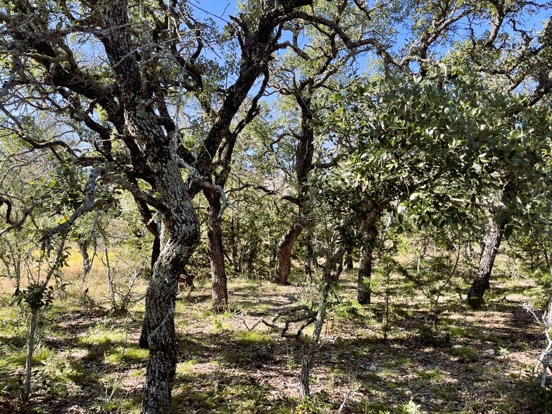 More Photos Of 1276 Farm to Market Road 574, Mullin Land For Sale