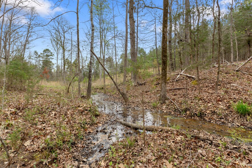 More Photos Of 2482 Old Douglass Rd, Winnsboro Land For Sale