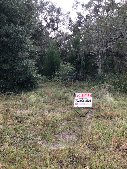 More Photos Of 2819 Blanding Blvd, Middleburg Land For Sale