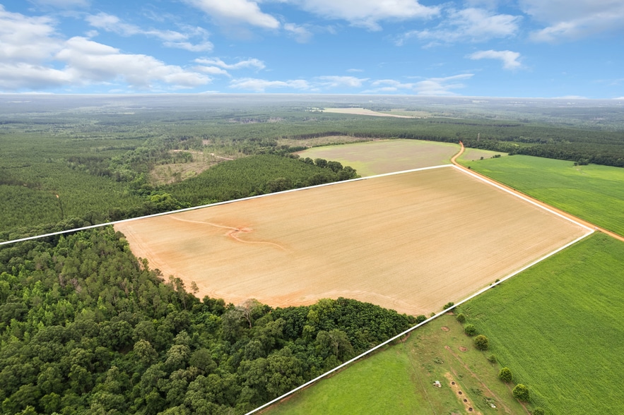 Primary Photo Of 0 Old Stage rd, Repton Land For Sale