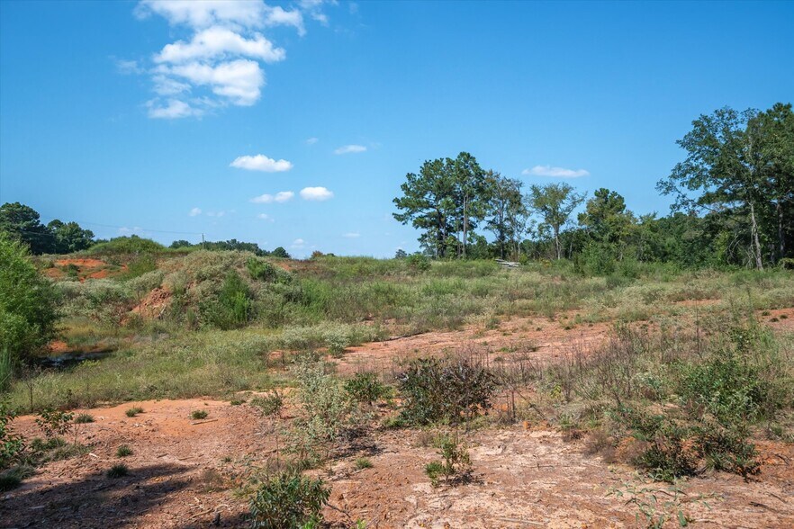 More Photos Of 18021 State Highway 155 S hwy, Flint Land For Sale