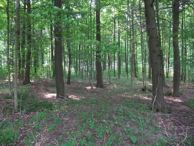 More Photos Of 8949 Wellington 22, Erin Land For Sale