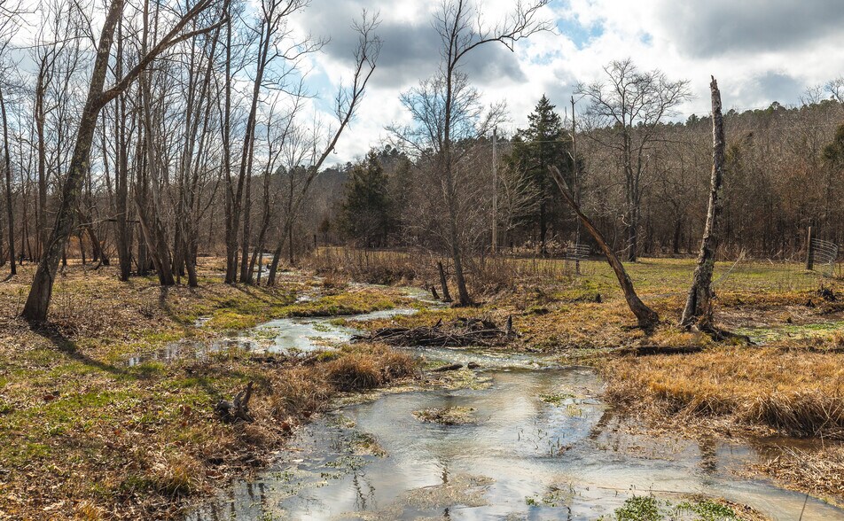 More Photos Of 3385 County Road 5615, Bunker Land For Sale
