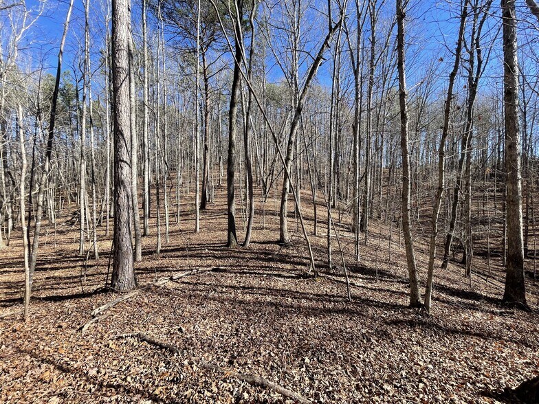 More Photos Of Elliott Family Pky @ Highway 53, Dawsonville Land For Sale