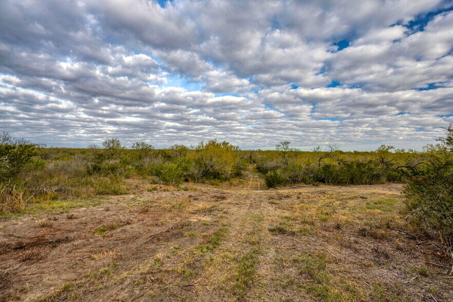 More Photos Of County Road 422, Pleasanton Land For Sale