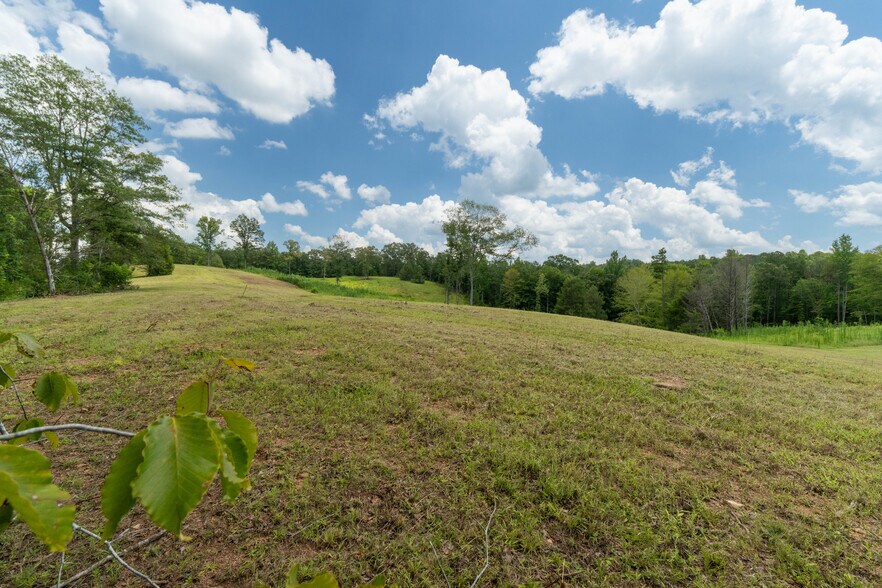 More Photos Of 1310 County Road 269, Wedowee Land For Sale