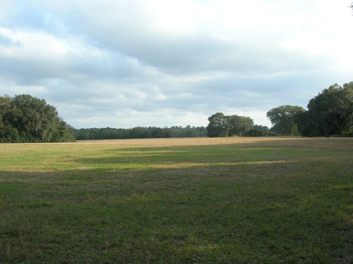 More Photos Of 4107 NE 255th Dr, Melrose Land For Sale