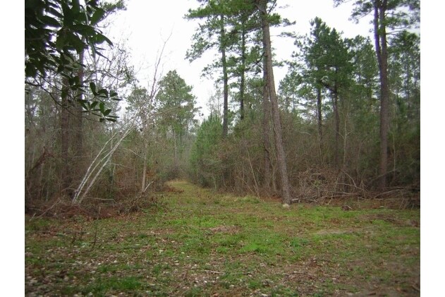 More Photos Of Pin Oak & Reinhart, New Caney Land For Sale