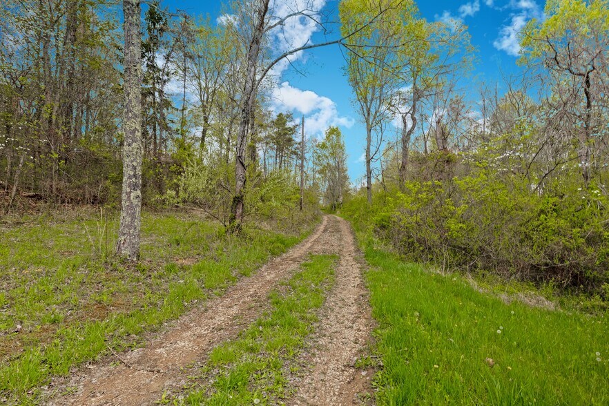 More Photos Of 5400 Saunders Rd, Logan Land For Sale