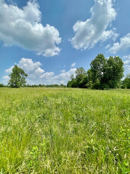 More Photos Of 7939 New Lawrenceburg Hwy, Mount Pleasant Land For Sale