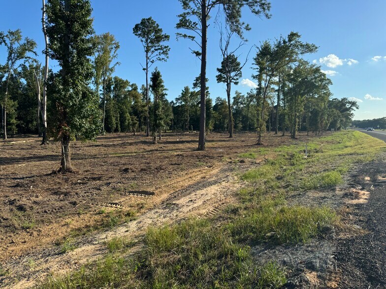 More Photos Of 16393 Highway 31, Tyler Land For Sale