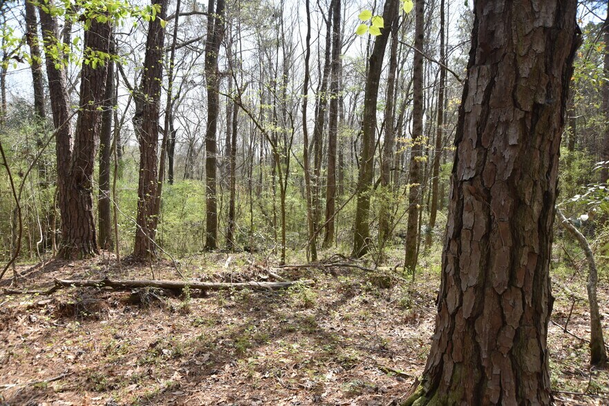 More Photos Of Warm Springs Rd @ GA-208, Waverly Hall Land For Sale